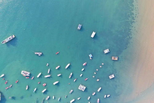 全國(guó)兩會(huì)上青島市長(zhǎng)趙豪志強(qiáng)調(diào)海水養(yǎng)殖技術(shù)研發(fā)的重要性