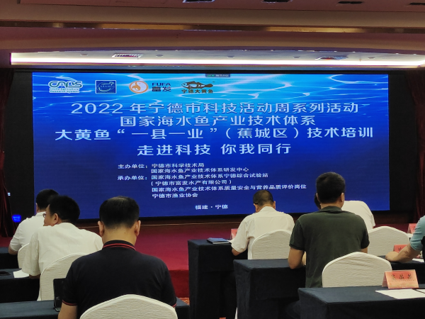 寧德聚力大黃魚“一縣一業” 技術培訓與研發雙輪驅動，引領海水養殖新篇章
