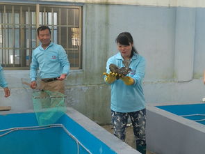 廣西防城港 海鑫鑫水產科技深耕海水石斑魚養殖與技術創新