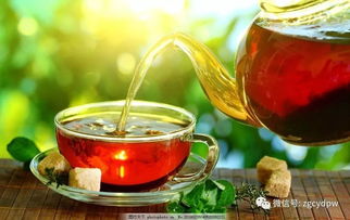 每天飲茶量專業指南 健康飲茶的科學建議